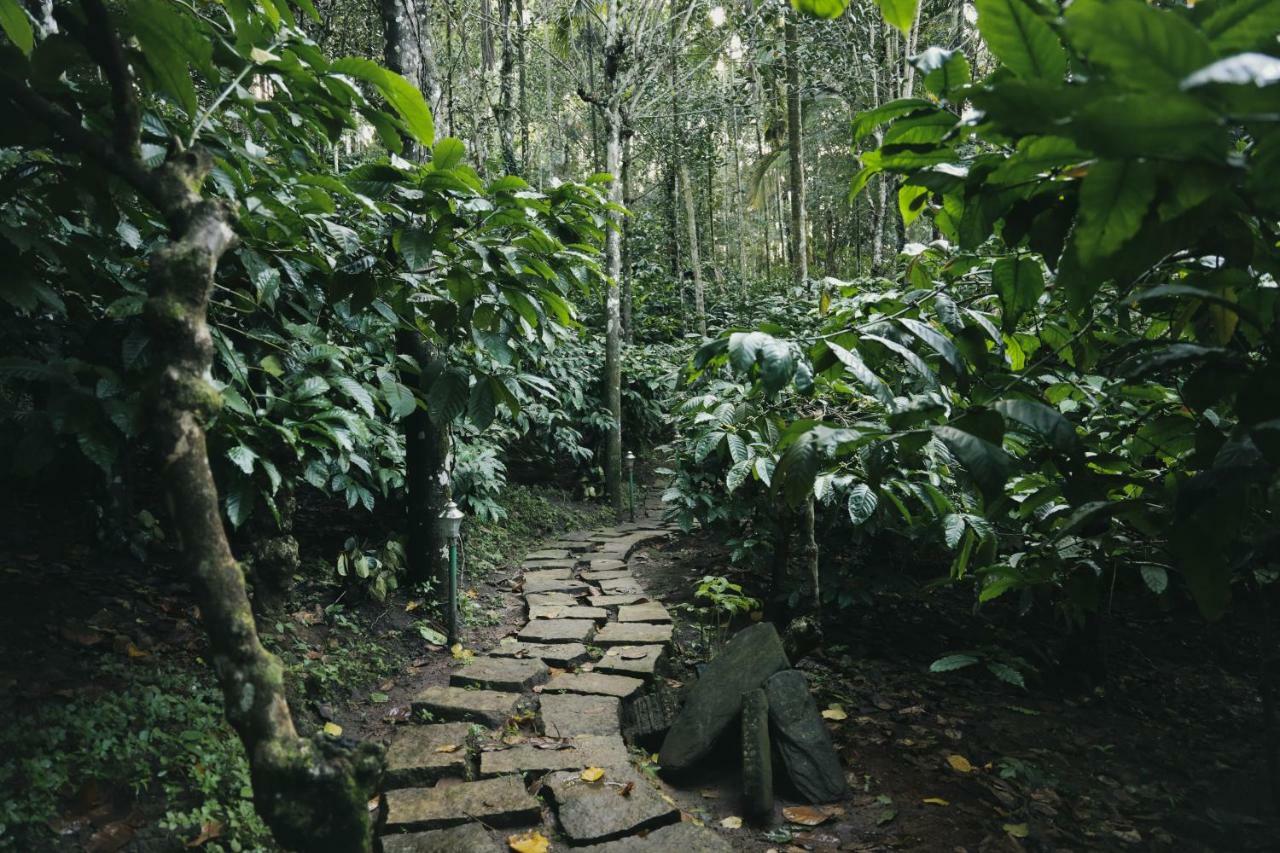 Bamboo Creek Resort Vaduvanchal Exterior foto